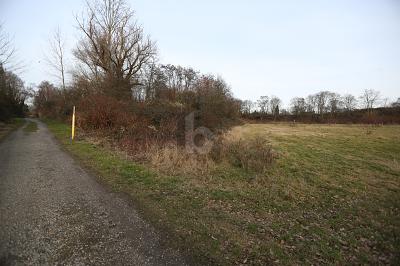 PERFEKT FÜR SOLAR & WINDPARK - Grundstück Duisburg Ruhrort | Angebot:25412625