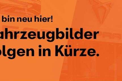 Seat Terra 9.352 km 39.977 &euro; Dortmund 44269