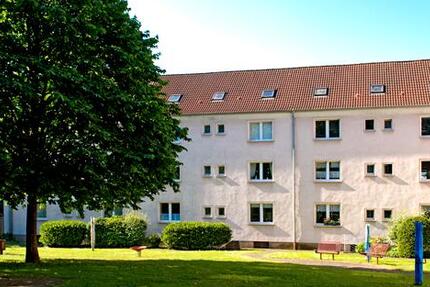 Wir renovieren für Sie! Tapete+Laminat 3 zimmer