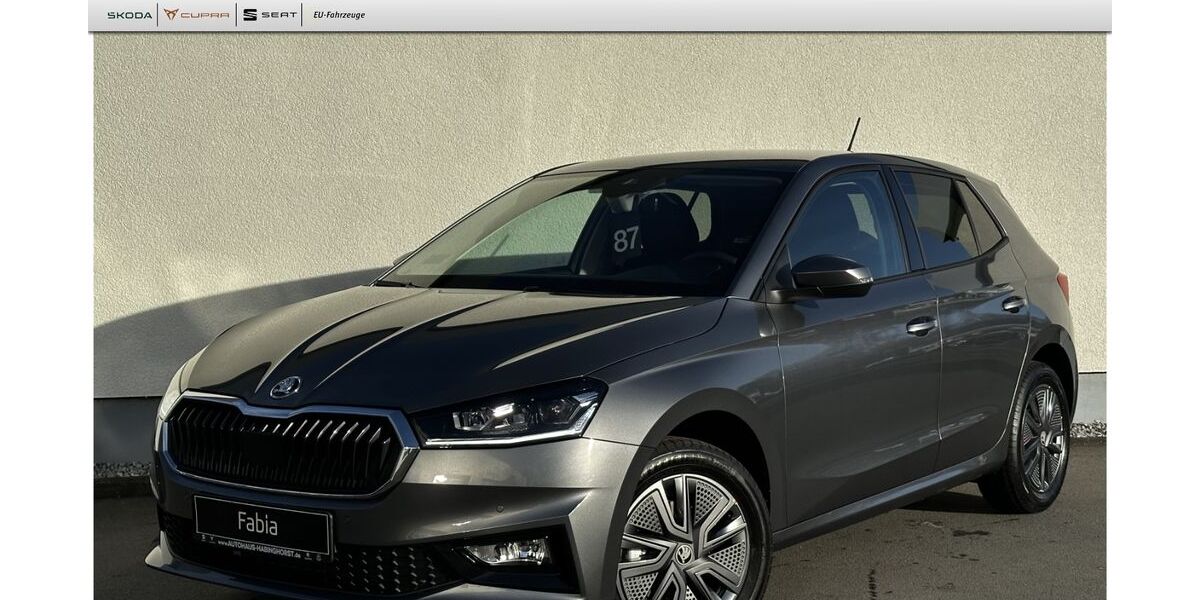Skoda Fabia 3.000 km 25.390 &euro; Castrop-Rauxel 44579