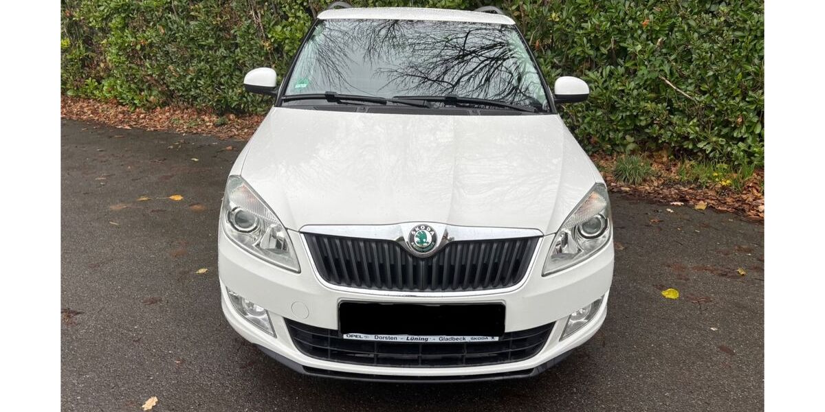 Skoda Fabia 90.250 km 6.000 &euro; Recklinghausen 45665