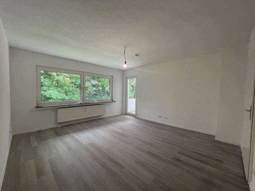 2,5-Zimmer - frisch renoviert - ruhige Lage 2 zimmer