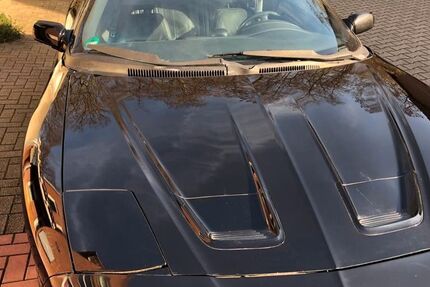 Pontiac Firebird 240.000 km 5.999 € Gelsenkirchen 45883