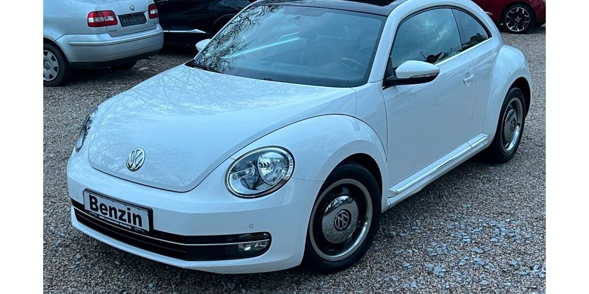 VW Beetle 149.805 km 7.990 € Duisburg 47137