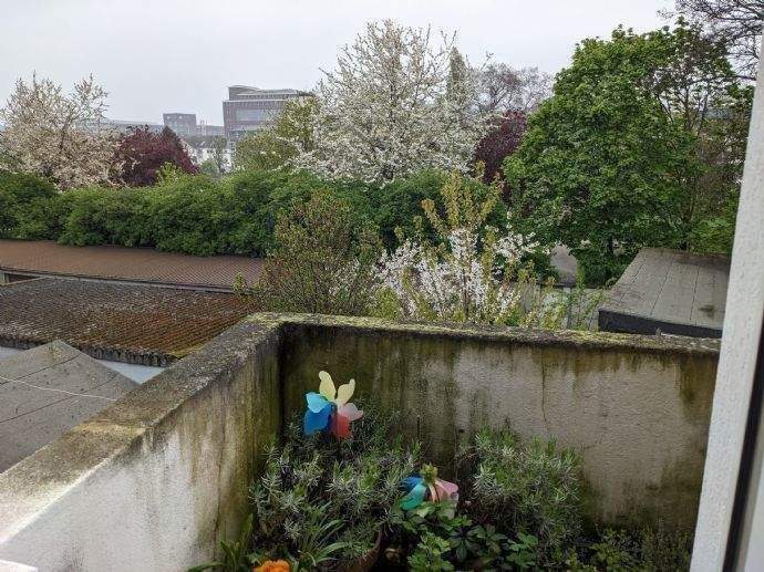 Etagenwohnung Duisburg Altstadt - 3 Zimmer, 76 m&sup2;, 550&euro; | Angebot:25424238