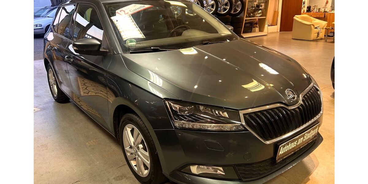 Skoda Fabia 90.000 km 10.555 &euro; Bochum 44791