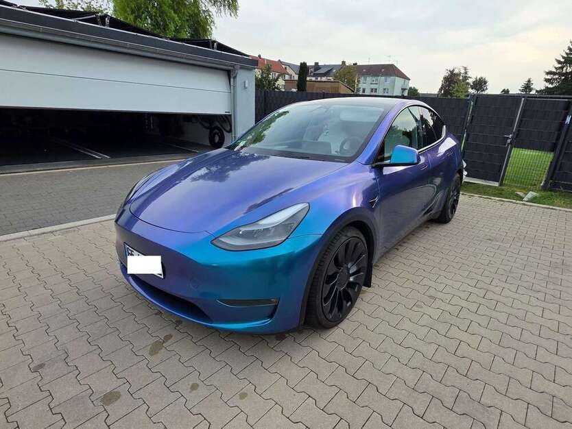 Model Y