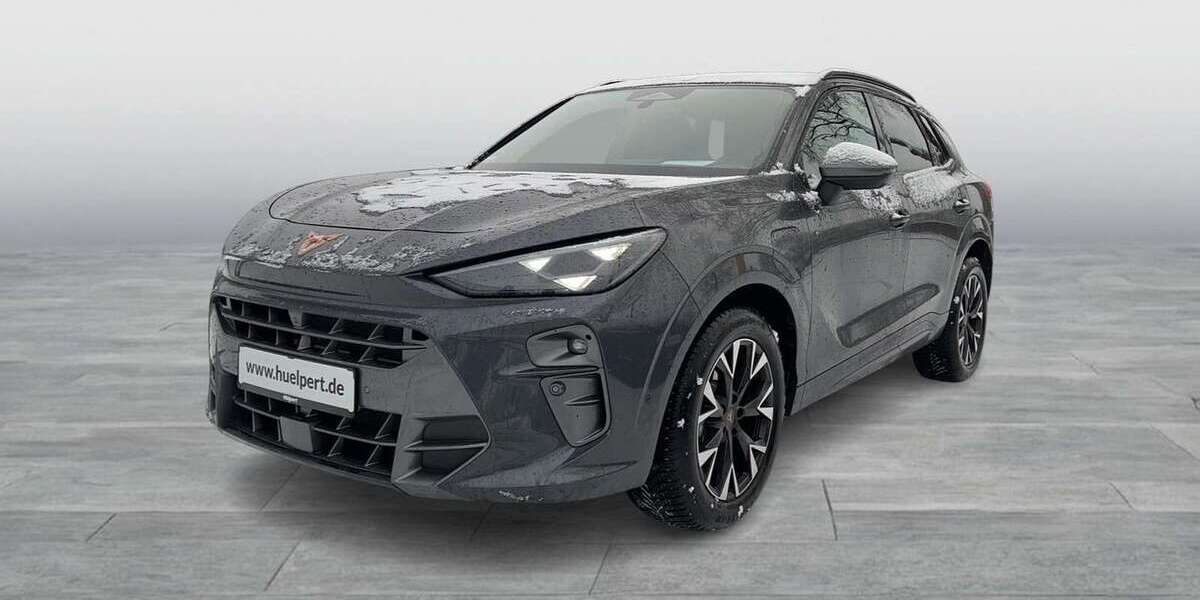 Seat Terra 8.031 km 39.917 &euro; Dortmund 44269