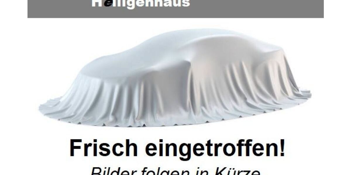 Skoda Scala 214.090 km 8.980 &euro; Heiligenhaus 42579