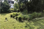 Gewerbeobjekt Wuppertal Gemarkung Langerfeld - 1.379&euro; | Angebot:25648062